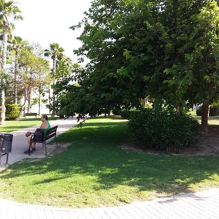 Costa Blanca Торрев'єха
